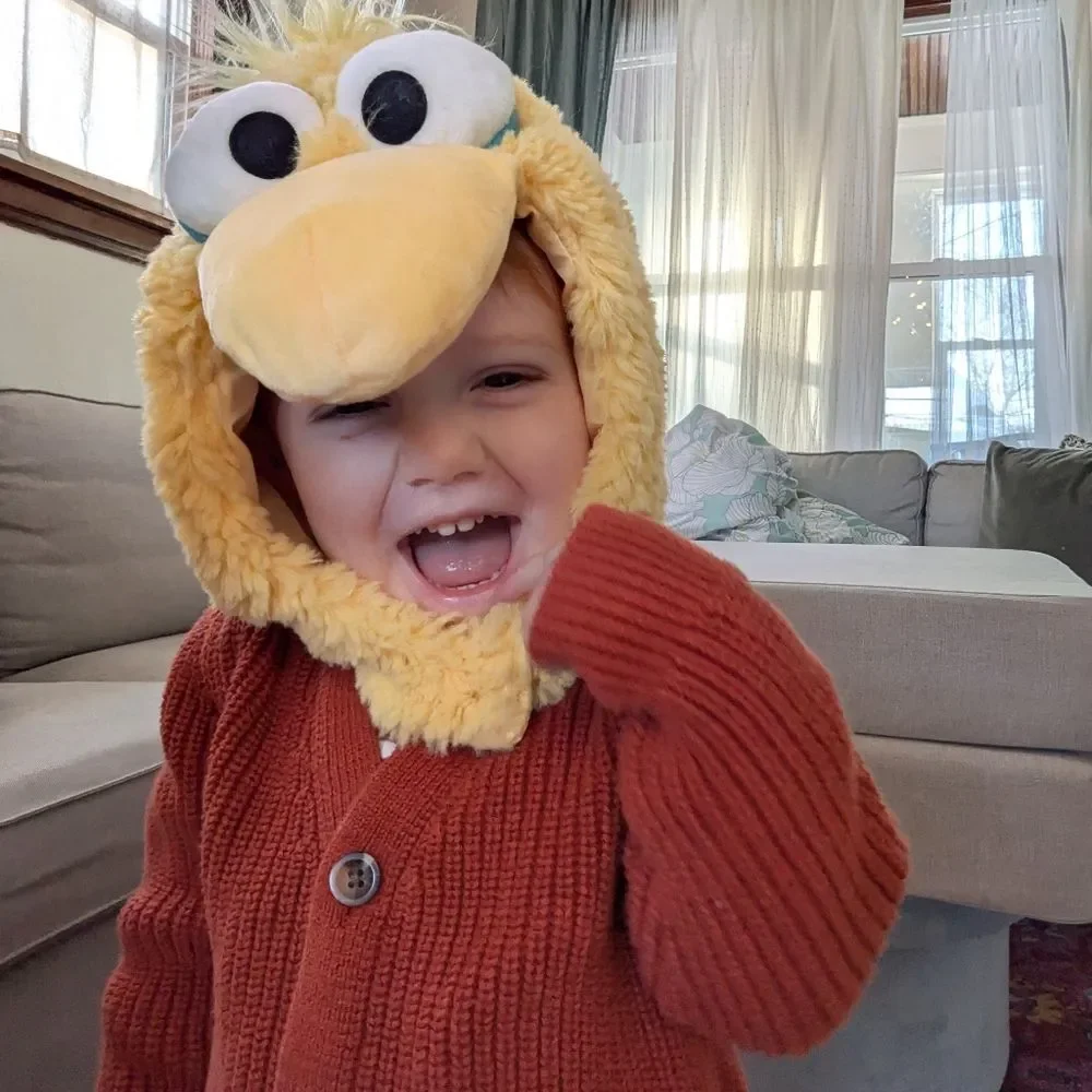 Pottery Barn Kids Sesame Street Yellow Plush Big Bird Costume 2 pieces 7-8y